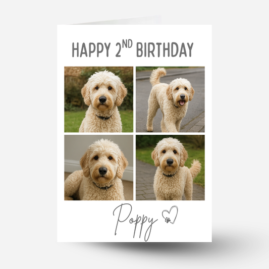 Pet Celebration Birthday Photo Card - PC18