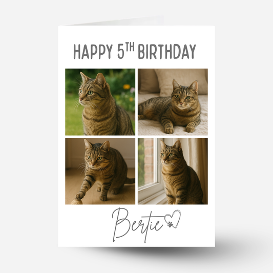 Cat Celebration Birthday Photo Card - PC19