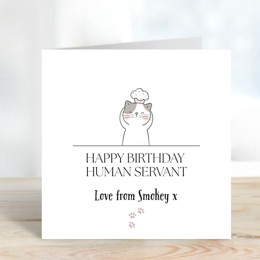 Birthday Card from the Cat - C508