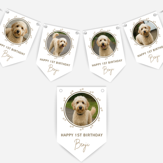 Dog Birthday Photo Bunting In Neutral Colours - B216