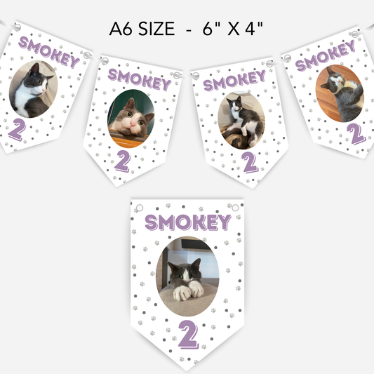 Cat Birthday Smaller Bunting - S175