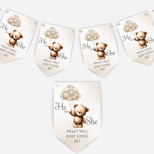 Cute Teddy Bear Gender Reveal Bunting - B113