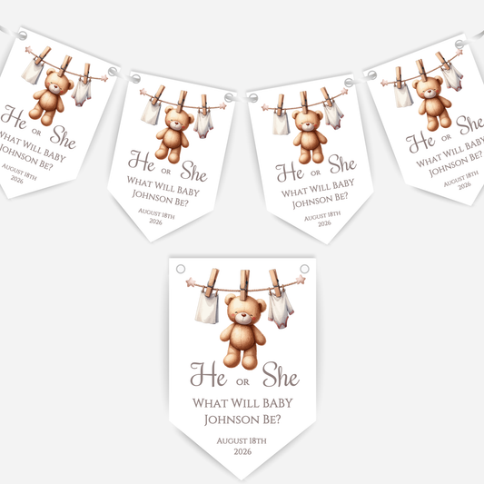 Cute Teddy Bear Gender Reveal Bunting - B188