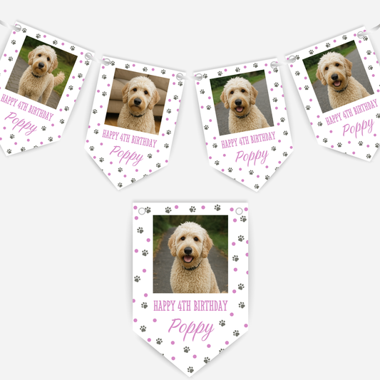 Dog Birthday Photo Bunting In Pink - B213