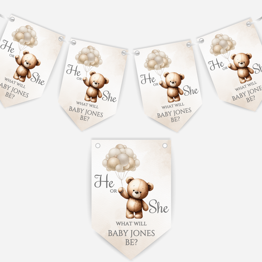Cute Teddy Bear Gender Reveal Bunting - B113