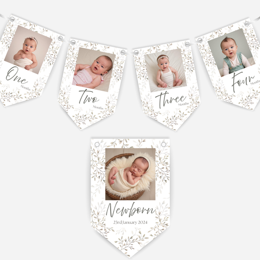 Newborn to 12 Months Milestone Bunting - 1st Birthday - B131