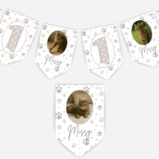 Cat Birthday Photo Bunting - B172