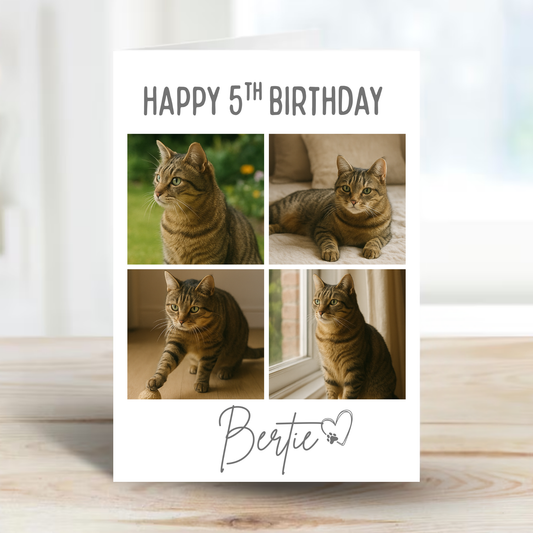 Cat Celebration Birthday Photo Card - PC19