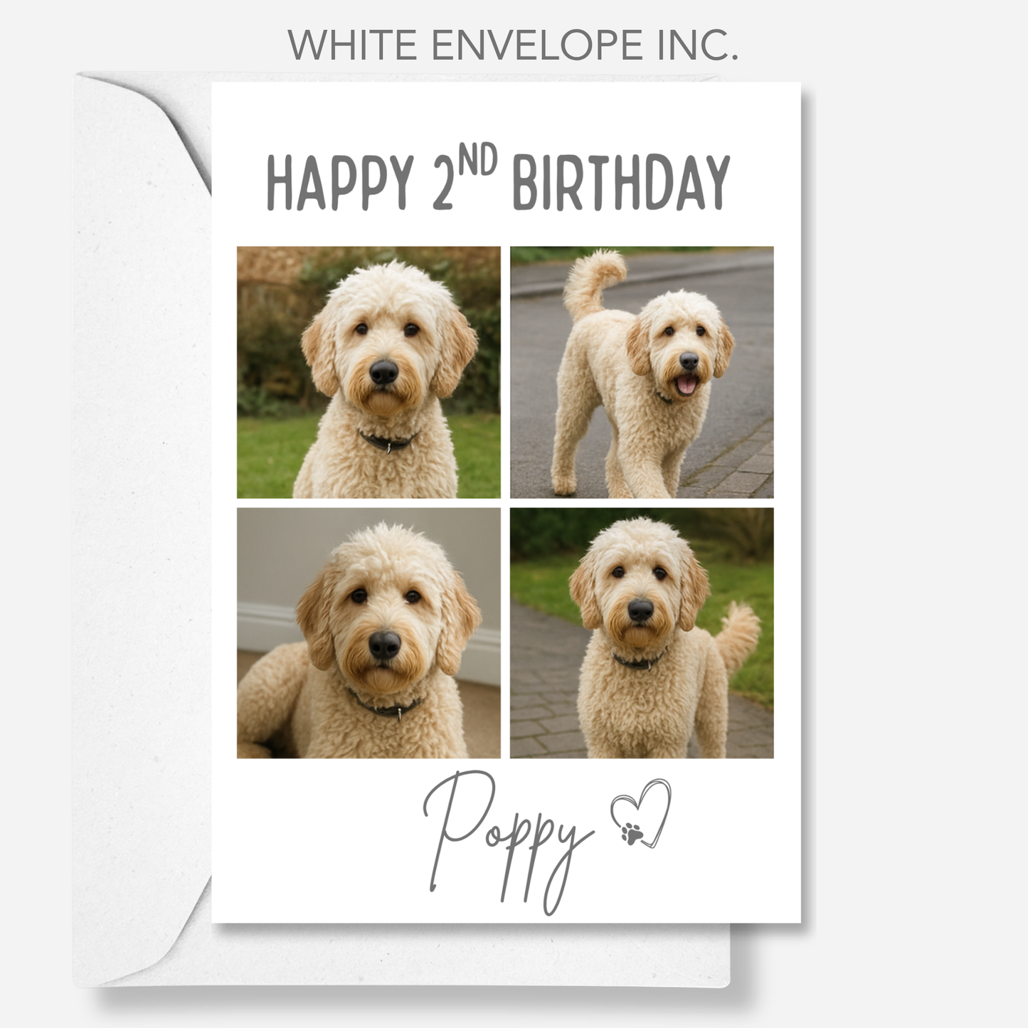 Pet Celebration Birthday Photo Card - PC18