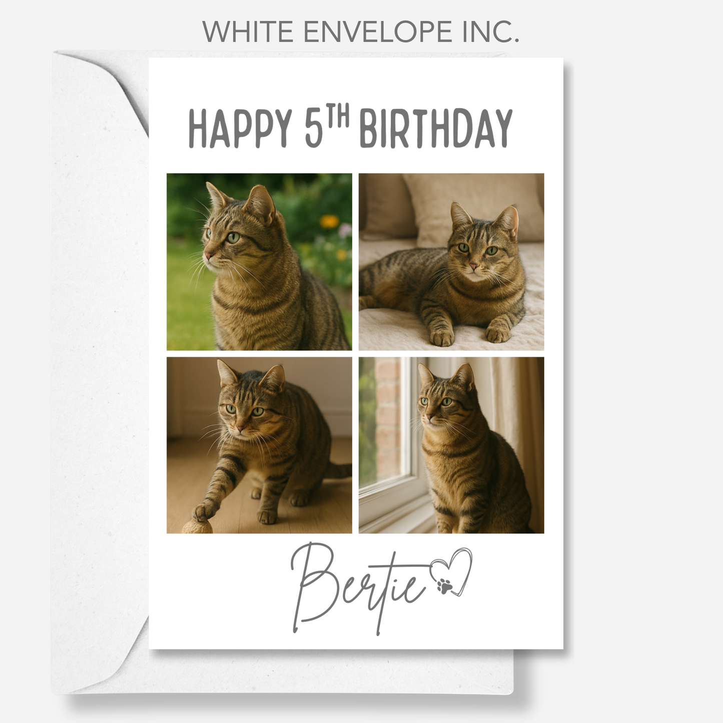 Cat Celebration Birthday Photo Card - PC19