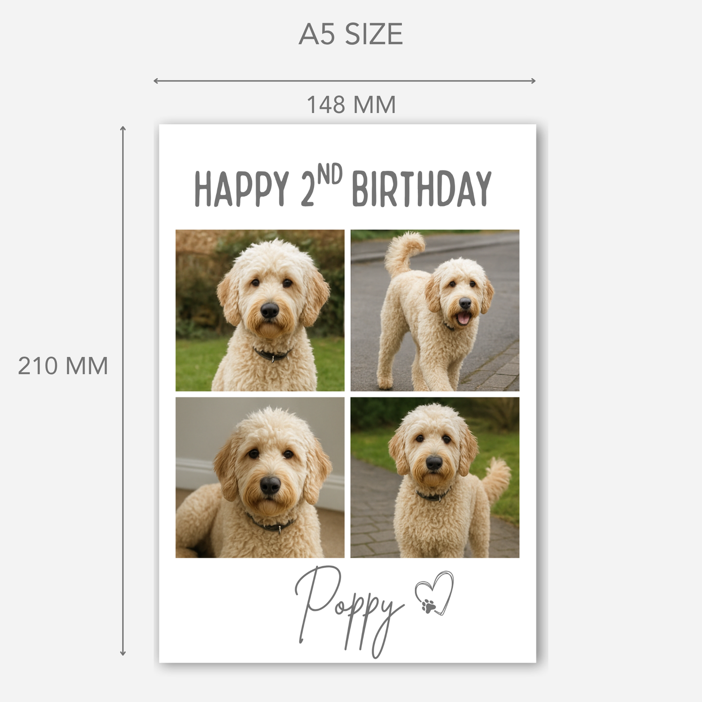 Pet Celebration Birthday Photo Card - PC18