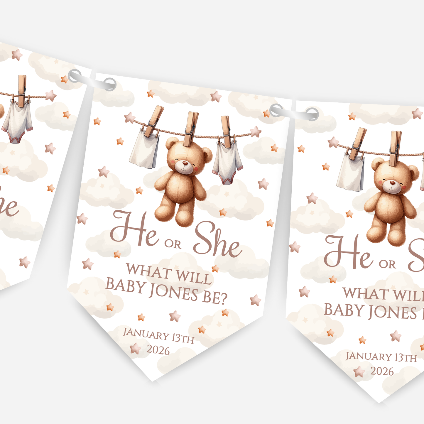 Cute Teddy Bear Gender Reveal Bunting - B188
