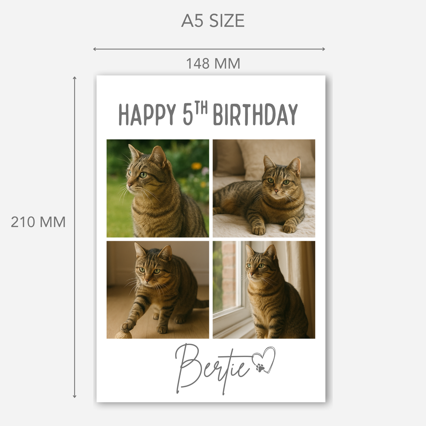 Cat Celebration Birthday Photo Card - PC19