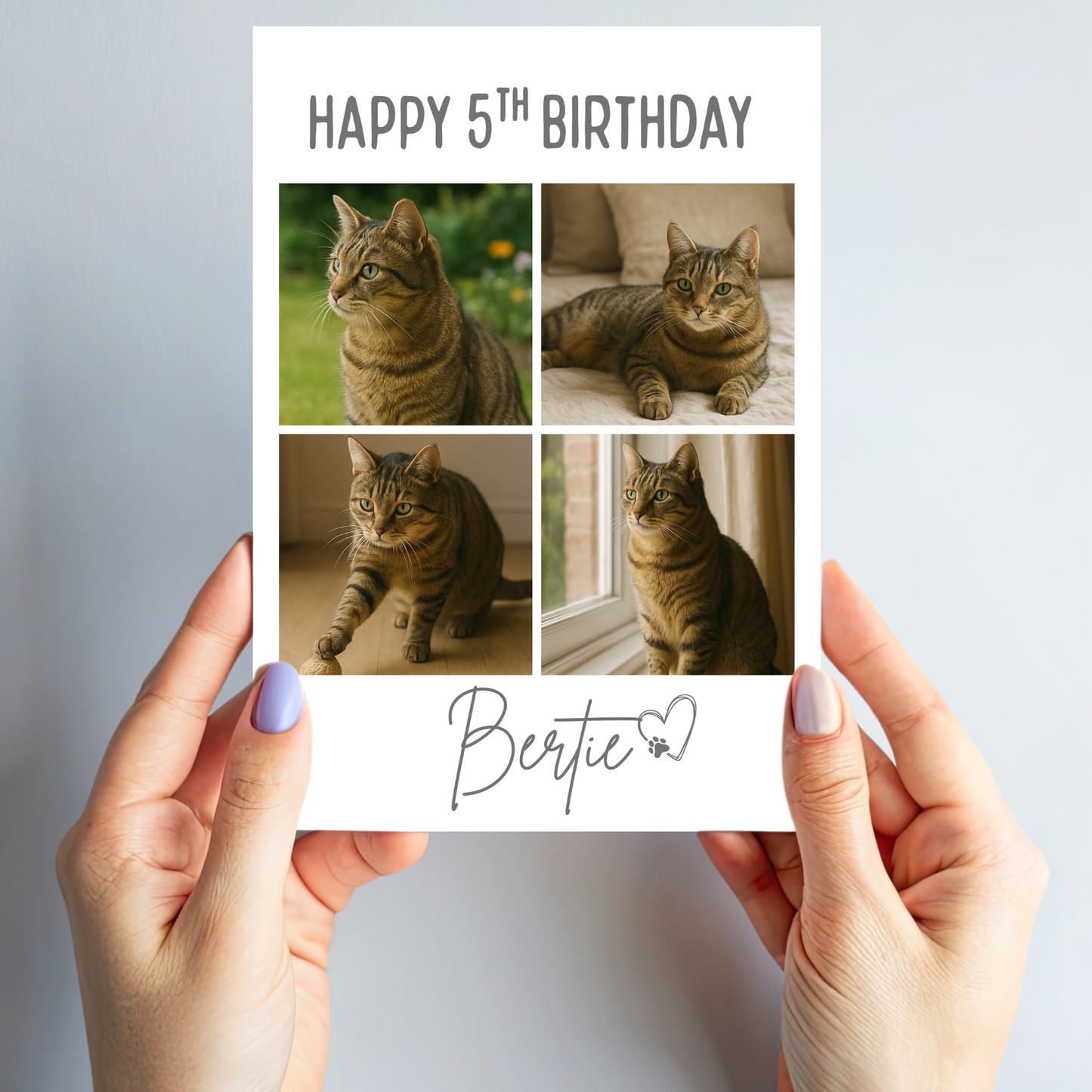 Cat Celebration Birthday Photo Card - PC19