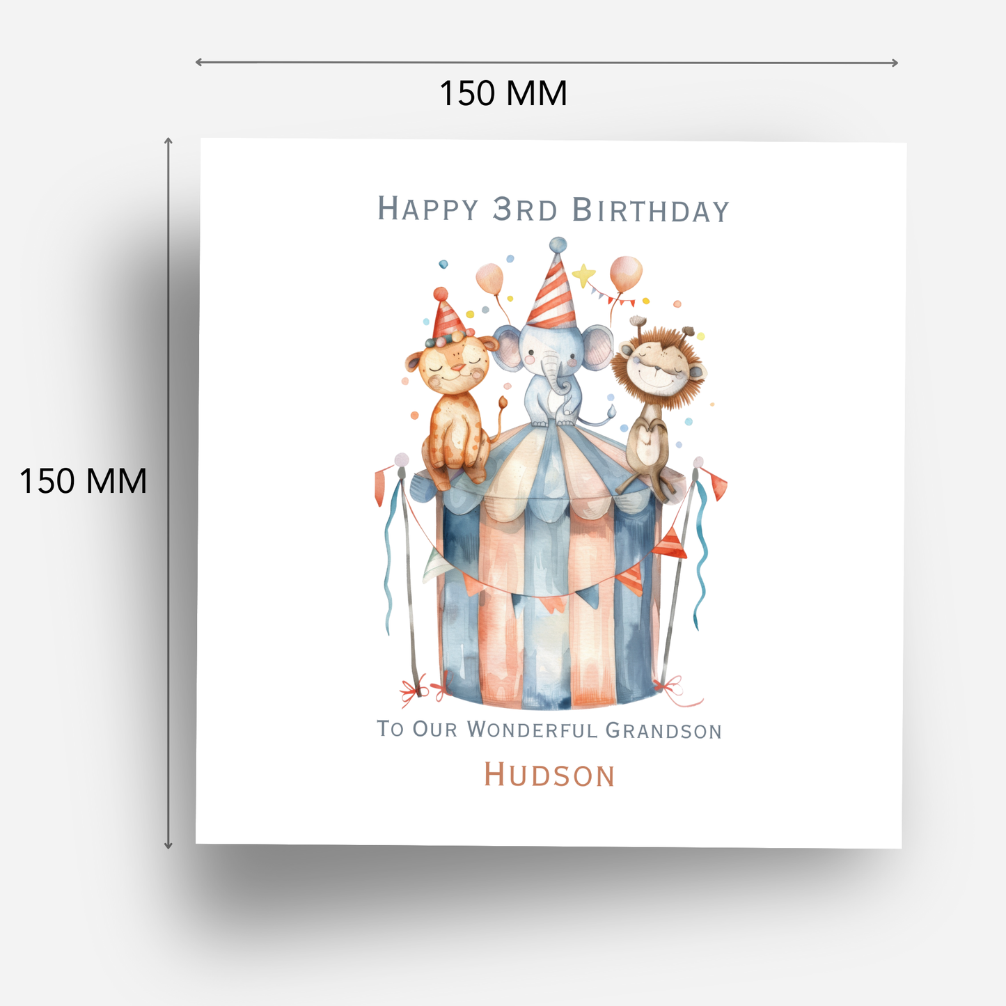 Circus Themed Birthday Card - C538