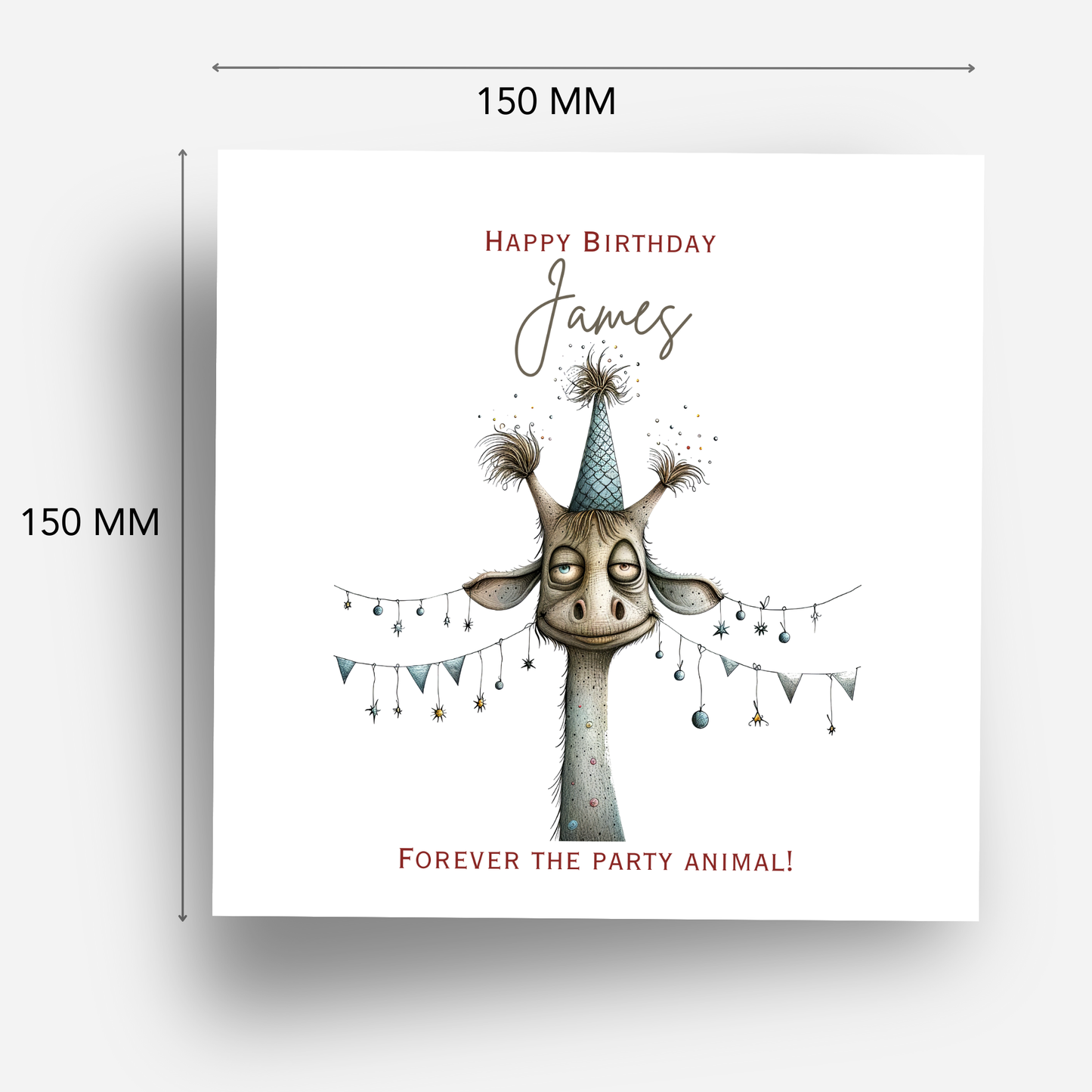 Fun Giraffe Birthday Card - C572