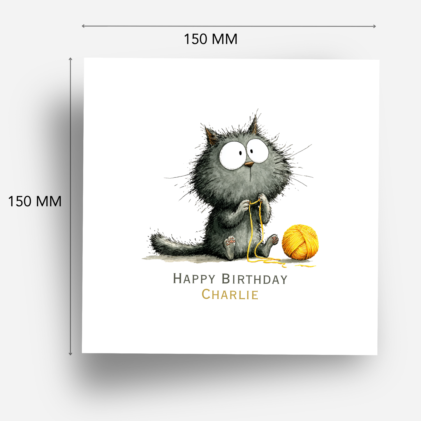 Funny Black Cat Birthday Card - C573