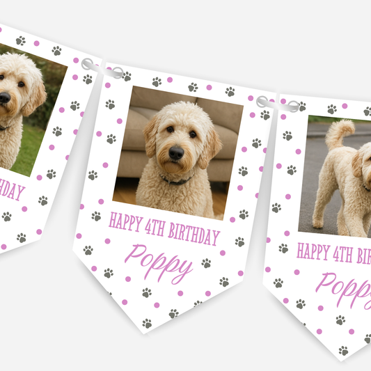 Dog Birthday Photo Bunting In Pink - B213