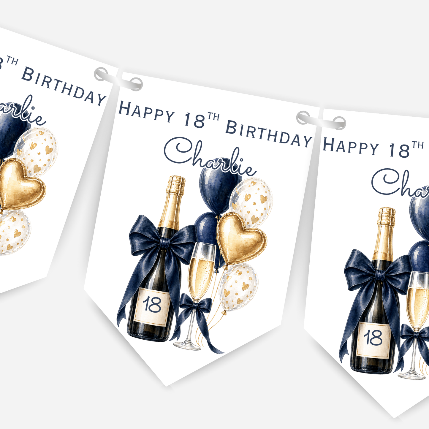 Champagne and Balloons Party Bunting in Five Colours - B296