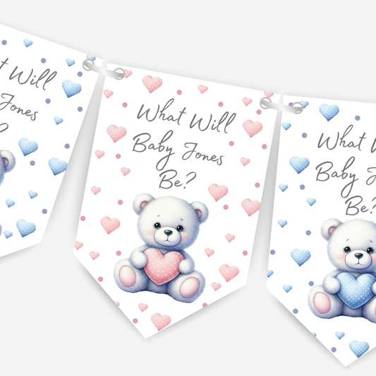 Cute Teddy Bear Blue and Pink Gender Reveal Bunting - B187