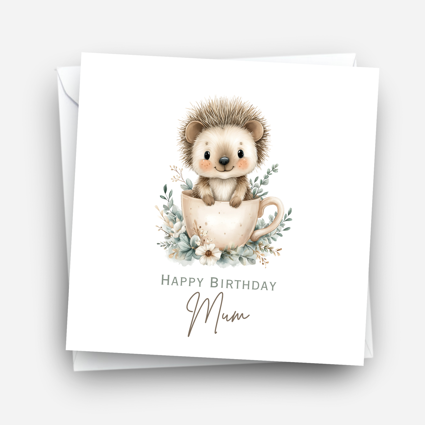 Cute Hedgehog Birthday Card - C687