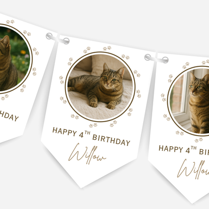Cat Birthday Photo Bunting - B215