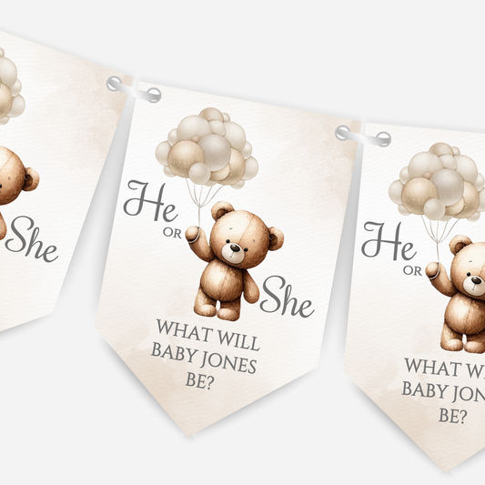 Cute Teddy Bear Gender Reveal Bunting - B113