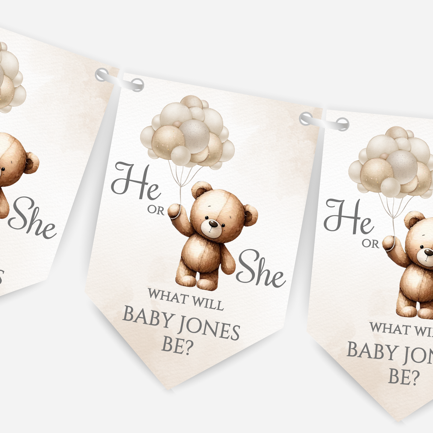 Cute Teddy Bear Gender Reveal Bunting - B113
