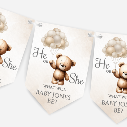 Cute Teddy Bear Gender Reveal Bunting - B113