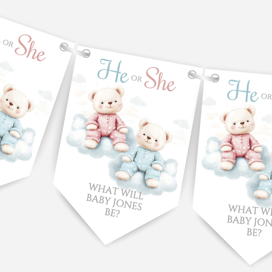 Cute Pink and Blue Teddy Bear Gender Reveal Bunting - B202