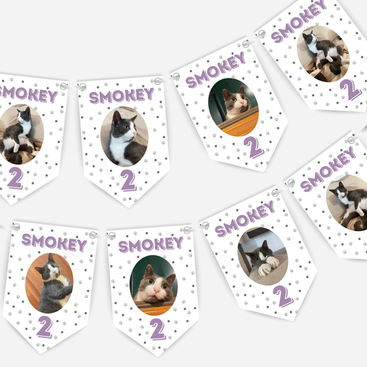 Cat Birthday Smaller Bunting - S175