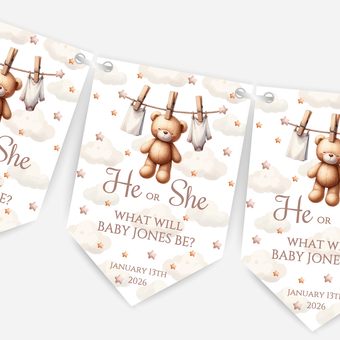 Cute Teddy Bear Gender Reveal Bunting - B188