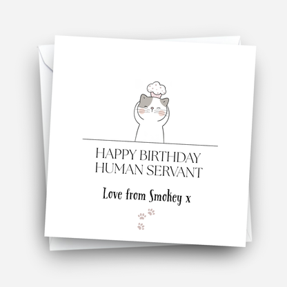 Birthday Card from the Cat - C508