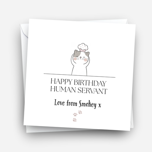 Birthday Card from the Cat - C508