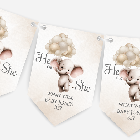 Cute Baby Elephant Gender Reveal Bunting - B265