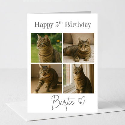 Cat Celebration Birthday Photo Card - PC19