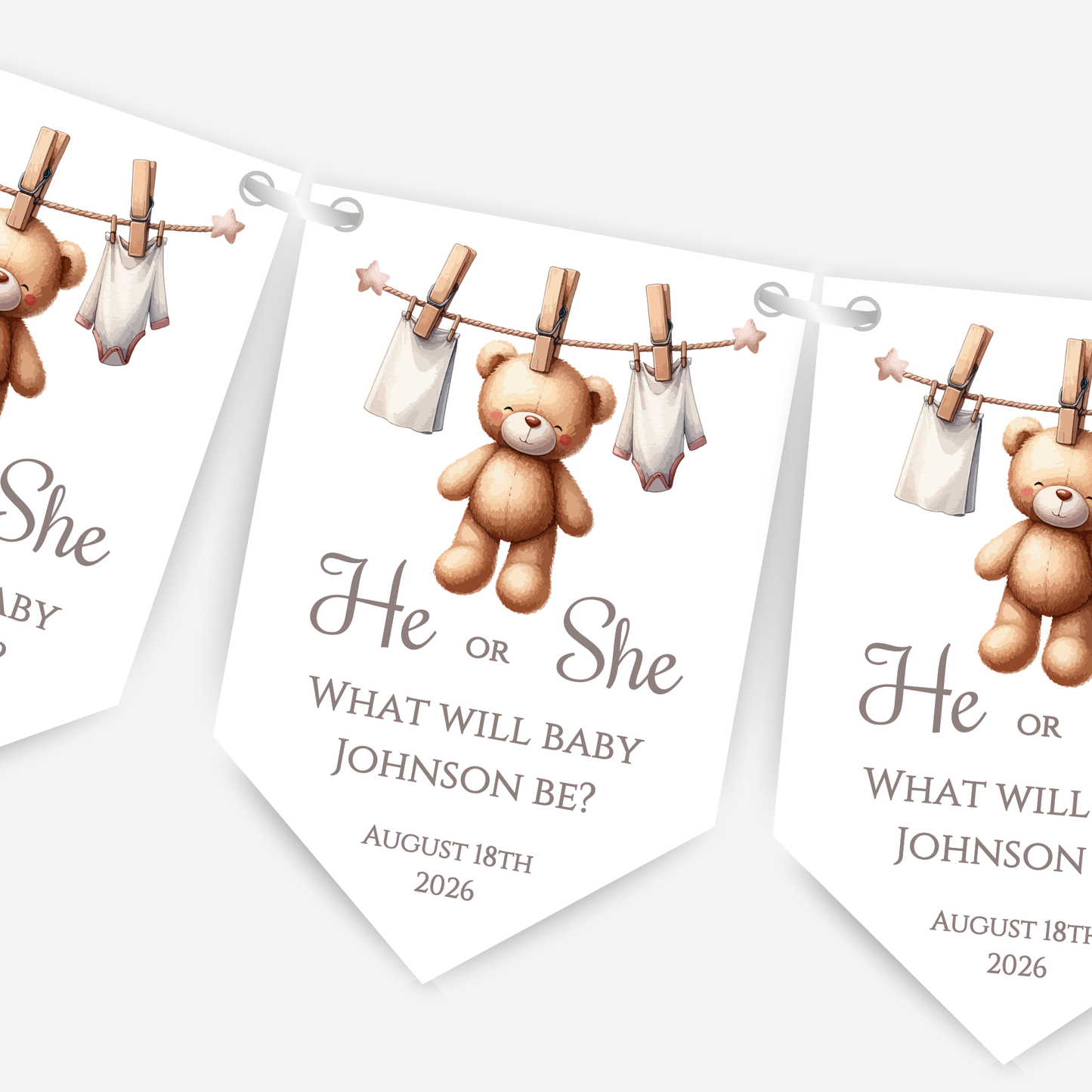 Cute Teddy Bear Gender Reveal Bunting - B188