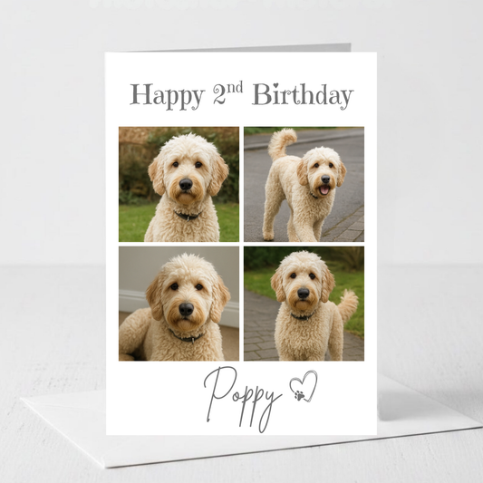 Pet Celebration Birthday Photo Card - PC18