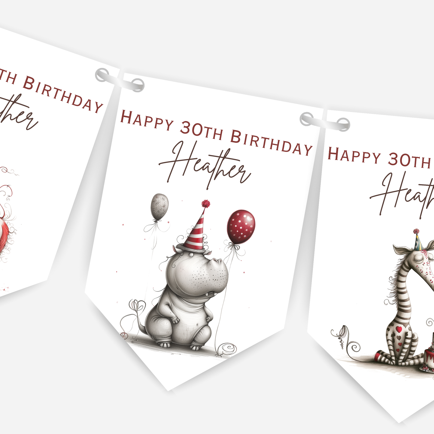 Whimsical Funny Animal Birthday Bunting - For Any Age – B200