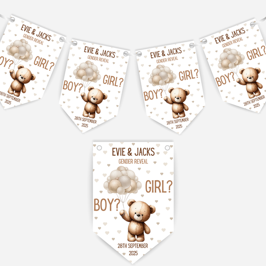 Cute Teddy Gender Reveal Bunting - B135