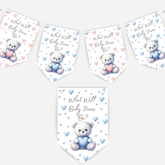 Cute Teddy Bear Blue and Pink Gender Reveal Bunting - B187
