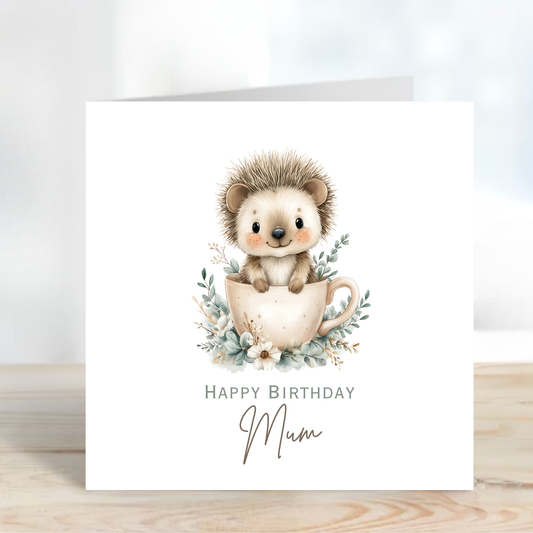 Cute Hedgehog Birthday Card - C687