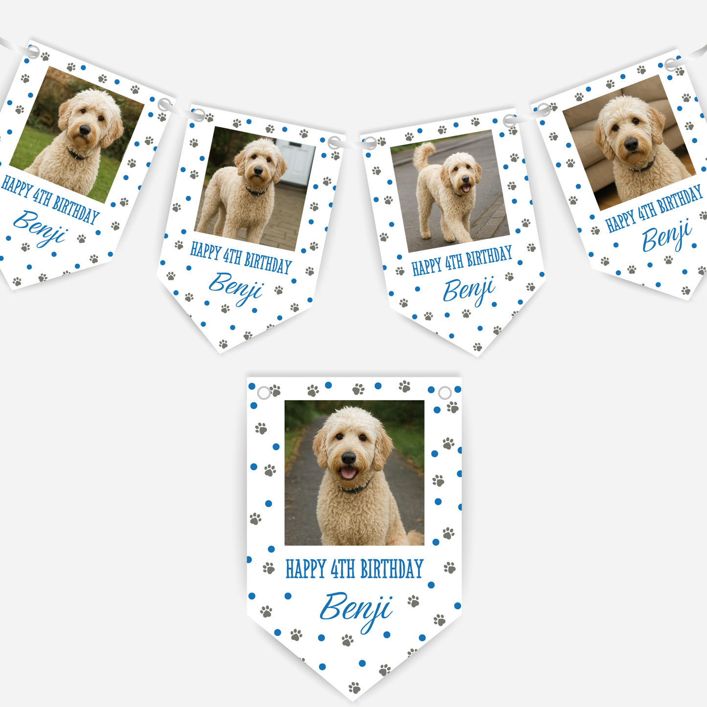 Dog Birthday Photo Bunting In Blue - B212
