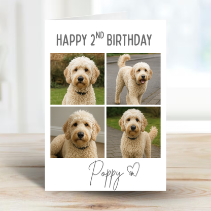 Pet Celebration Birthday Photo Card - PC18