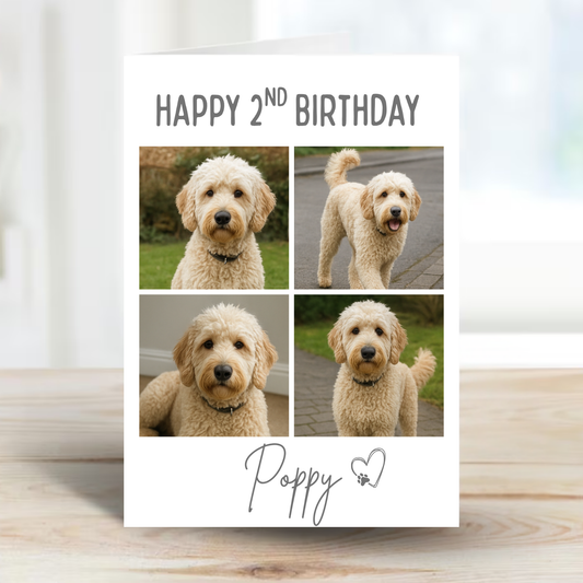 Pet Celebration Birthday Photo Card - PC18