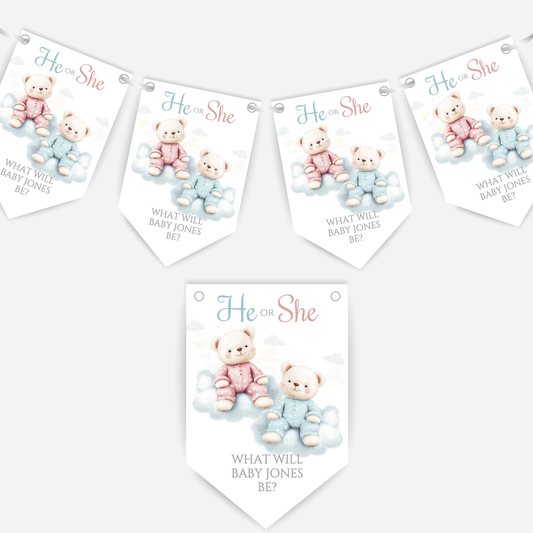 Cute Pink and Blue Teddy Bear Gender Reveal Bunting - B202