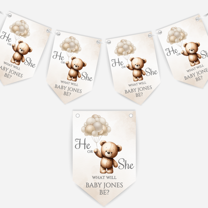 Cute Teddy Bear Gender Reveal Bunting - B113