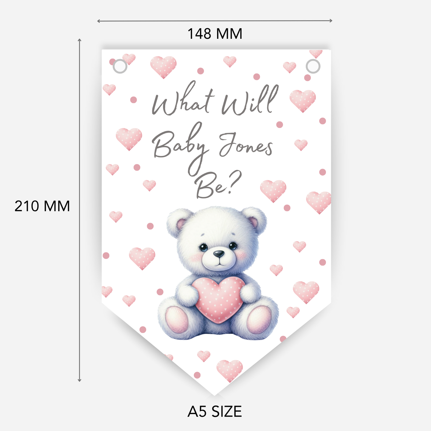 Cute Teddy Bear Blue and Pink Gender Reveal Bunting - B187