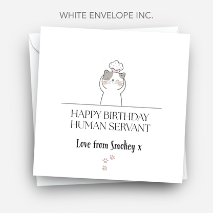 Birthday Card from the Cat - C508