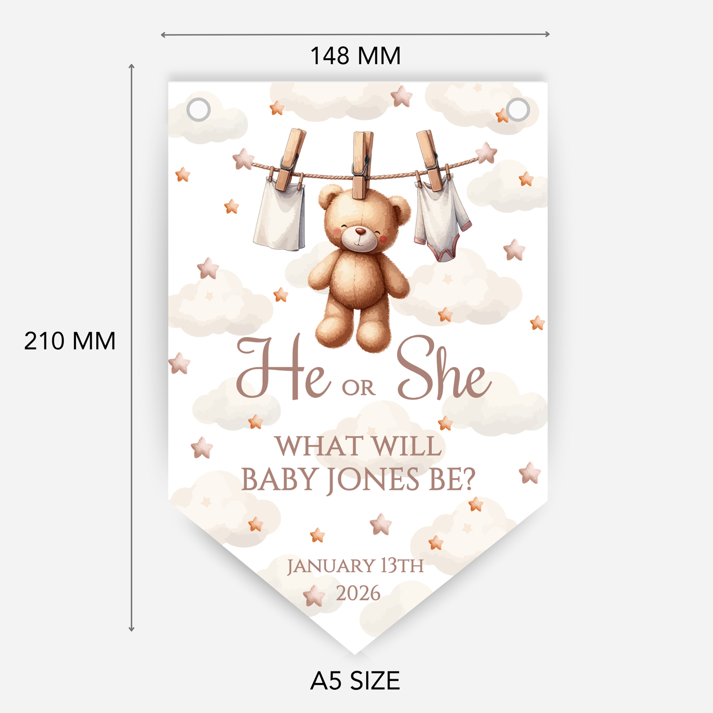 Cute Teddy Bear Gender Reveal Bunting - B188